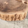 Riess-Ambiente Mehr...|Couchtische > Baumstamm Couchtisch GOA 60cm natur Akazie Massivholz rund mit Rollen Unikat