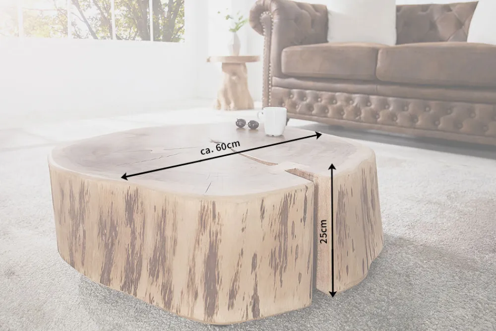 Riess-Ambiente Mehr...|Couchtische > Baumstamm Couchtisch GOA 60cm natur Akazie Massivholz rund mit Rollen Unikat