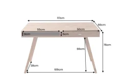 Riess-Ambiente Mehr...|Mehr... > Design Schreibtisch RETRO 120cm braun Sheeshamholz stone finish Design Klassiker