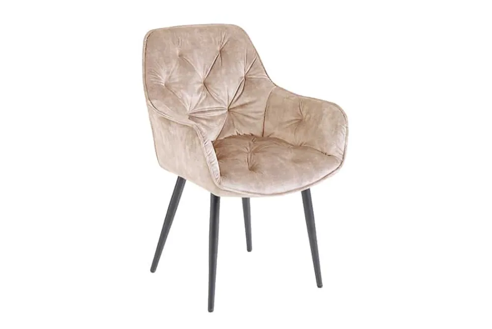 Riess-Ambiente Stühle|Samt Möbel > Design Stuhl MILANO champagner beige Samt mit Armlehne gepolstert schwarze Metallbeine