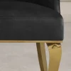 Riess-Ambiente Stühle > Design Stuhl MODERN BAROCK DELUXE schwarz Samt gold Edelstahl mit Löwenkopf