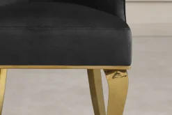 Riess-Ambiente Stühle > Design Stuhl MODERN BAROCK DELUXE schwarz Samt gold Edelstahl mit Löwenkopf