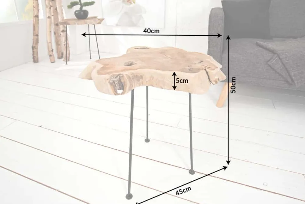Riess-Ambiente Beistelltische|Mehr... > Einzigartiger Beistelltisch WILD 40cm Teakholz Baumscheibe Couchtisch