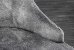 Riess-Ambiente Stühle|Samt Möbel > Eleganter Stuhl MODERN BAROCK grau Samt mit goldenem Löwenkopf