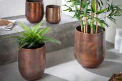 Riess-Ambiente Dekoration ><noscript><img width=