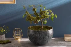 Riess-Ambiente Schalen ><noscript><img width=
