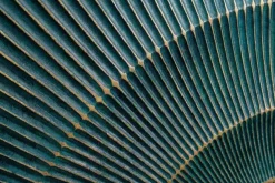 Riess-Ambiente Mehr...|Massivholzschränke ><noscript><img width=