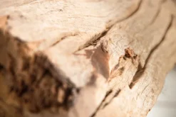 Riess-Ambiente Mehr...|Mehr... > Handmade Stehlampe ROUSILIQUE 180cm schwarz Treibholzlampe Leinenschirm Baumstamm