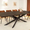 Riess-Ambiente Mehr...|Massivholzesstische > Massiver Esstisch SIGNUM 220cm dunkelbraun Mangoholz Bootsform Sterngestell