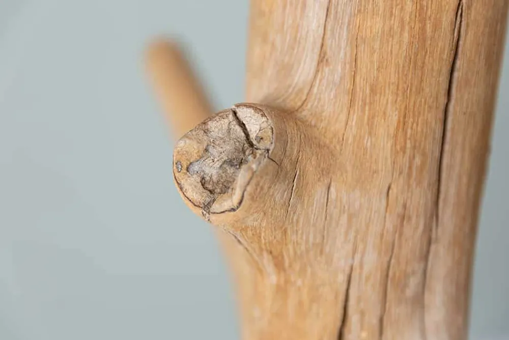 Riess-Ambiente Mehr...|Garderoben > Massiver Garderobenständer TREE NATURE 170cm natur Holz Kleiderständer