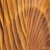 Riess-Ambiente Mehr...|Highboards > Massives Highboard SCORPION 120cm braun Mangoholz aufwendige 3D Schnitzereien
