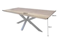 Riess-Ambiente Mehr...|Massivholzesstische > Massivholz Esstisch GALAXIE 200cm braun Sheesham stone finish Industrial Design
