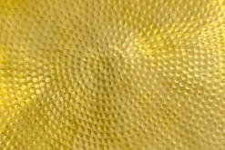 Riess-Ambiente Goldene Möbel|Couchtische & Truhen ><noscript><img width=